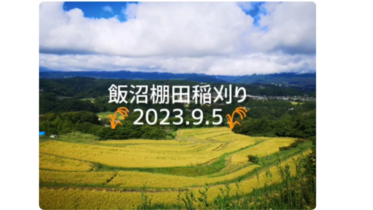 「飯沼の棚田」2023年稲刈り｜信州棚田ネットワーク｜長野県