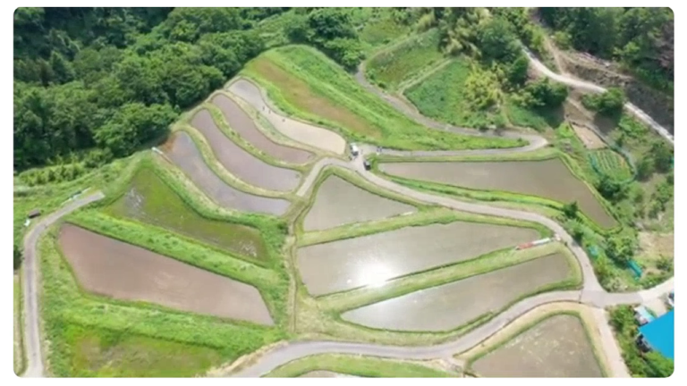 【長野県長野市大岡】八重堀の棚田　山間地域の棚田の様子を紹介