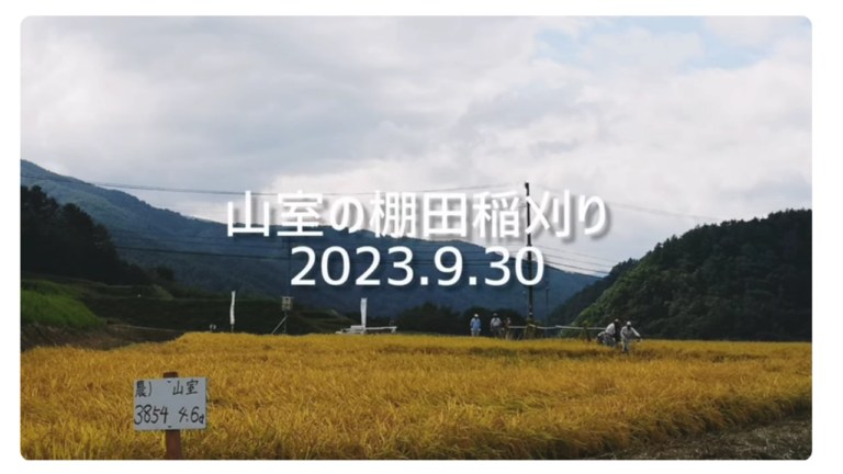 「山室の棚田」2023年稲刈り｜信州棚田ネットワーク｜長野県