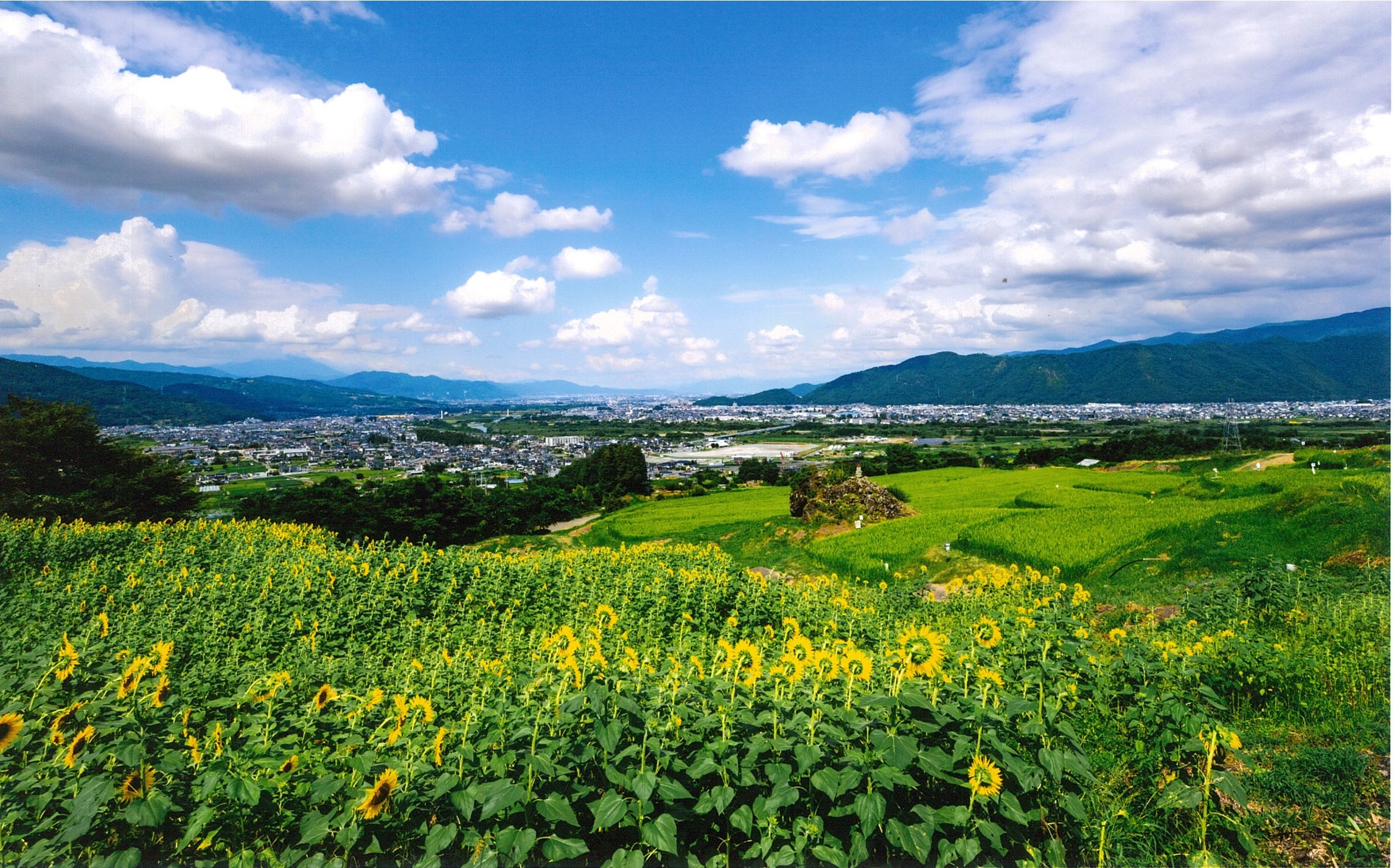 ふるさとの夏