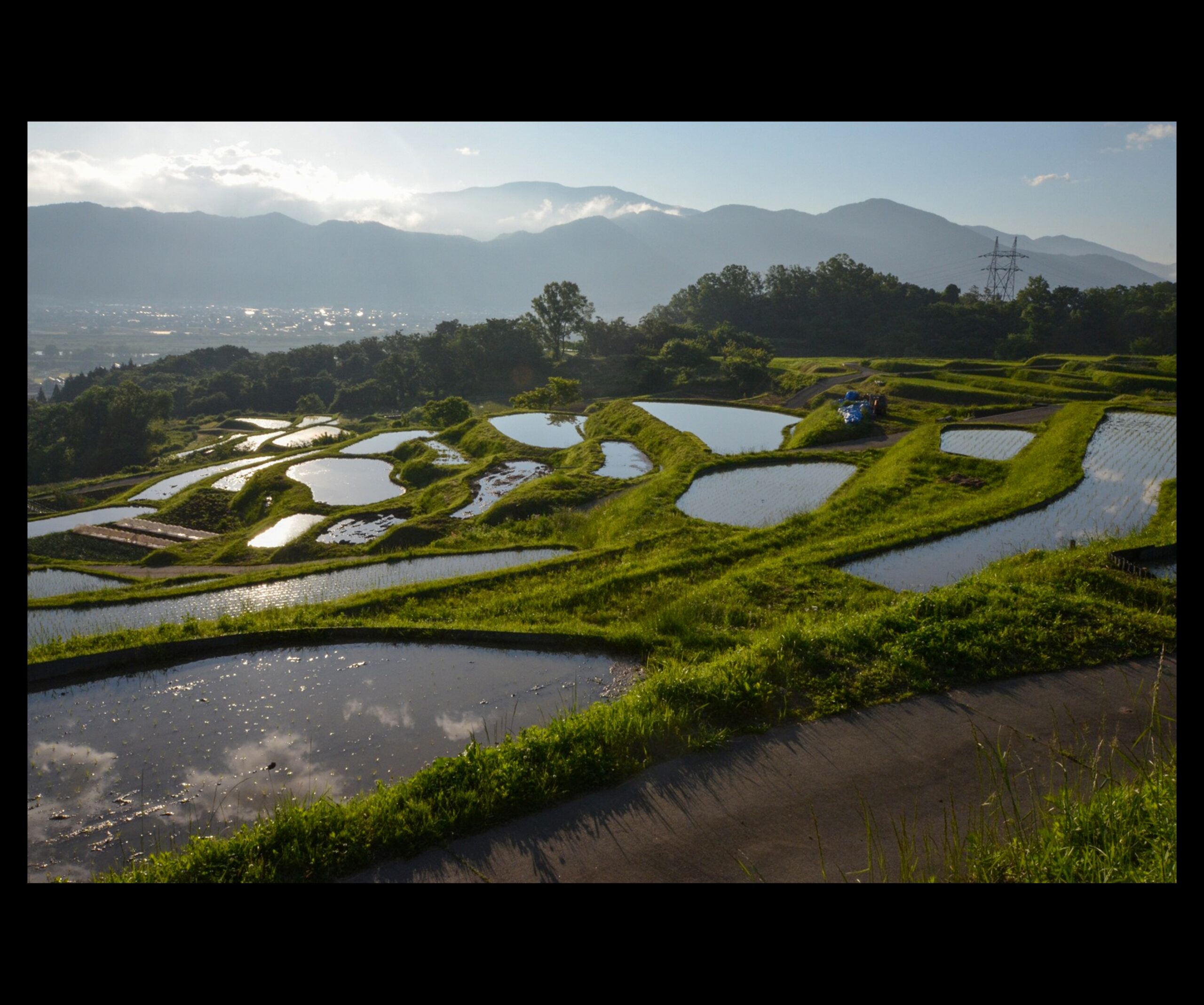 田植えの順番待ち