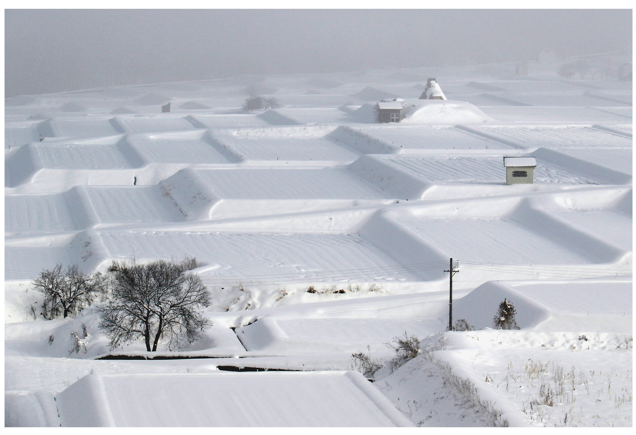 ノスタルジックな田園