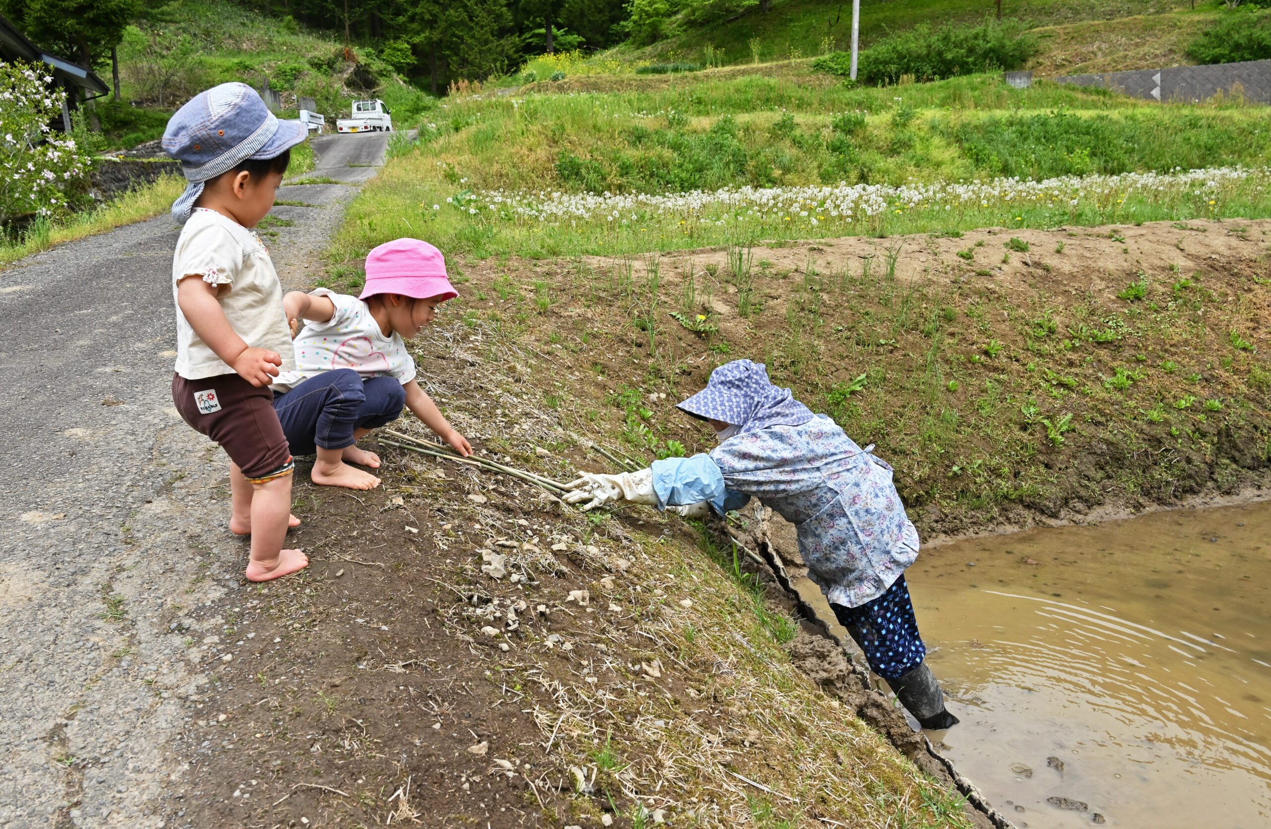 ひ孫のおてつだい