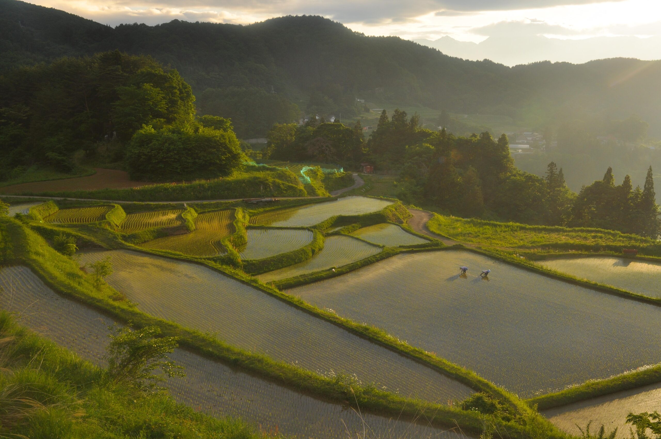 夕闇よあと少しだけ