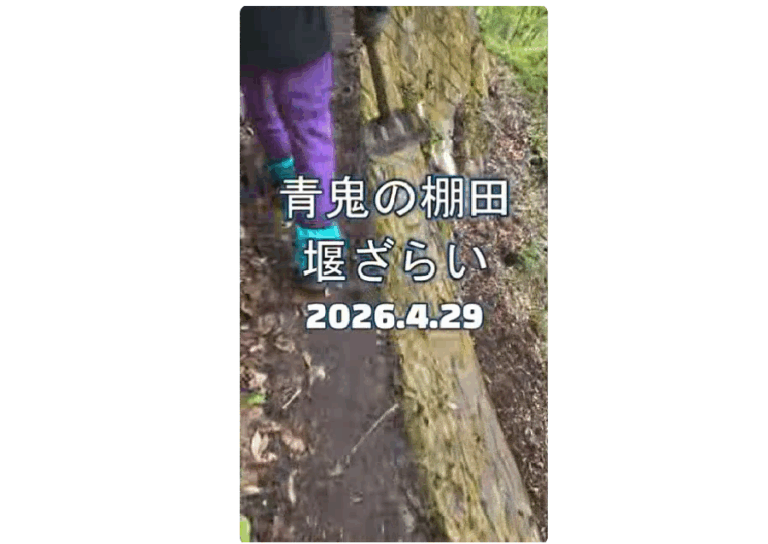 青鬼の棚田堰ざらい2026│信州棚田ネットワーク│長野県│ショート